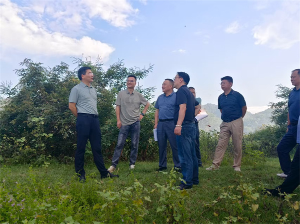 9月15日，王奇勇縣長調研新安江航道綜合整治提升工程，集團洪董、張總陪同調研.jpg